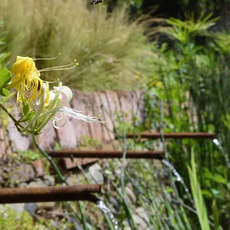 Holiday home Le Sourire Des Anges