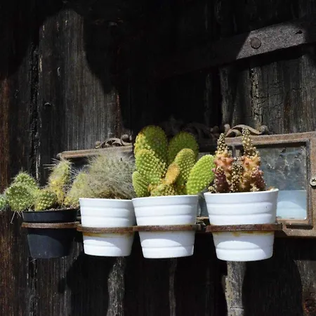 Holiday home Le Sourire Des Anges *